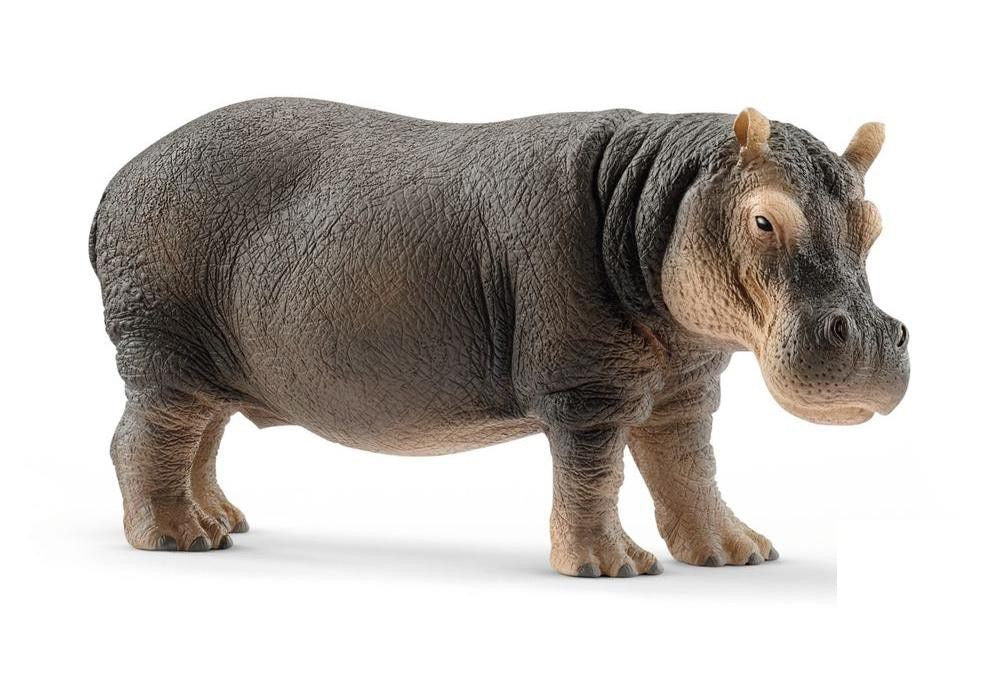Schleich. Figurine "Бегемот", art.14814