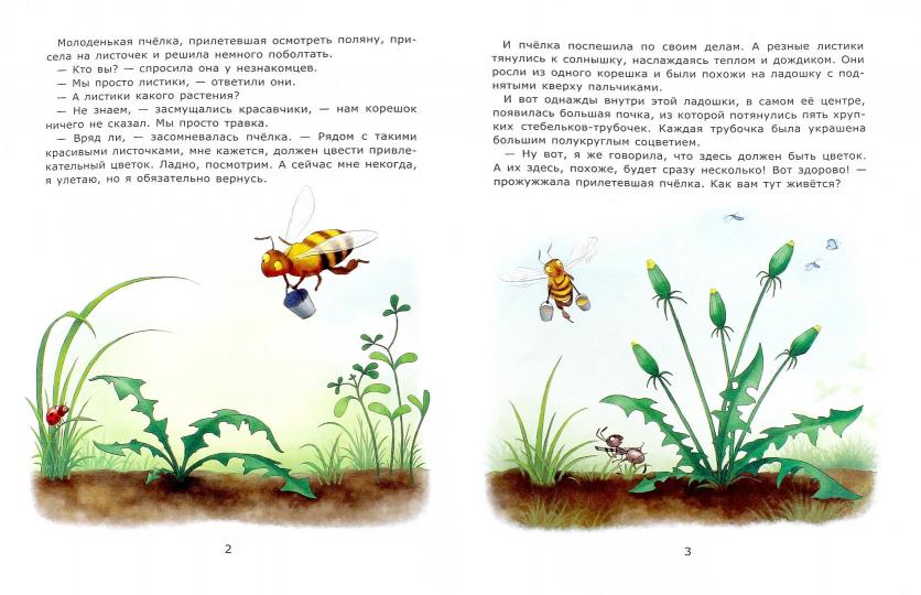 Познавательные сказки: Солнечные цветы