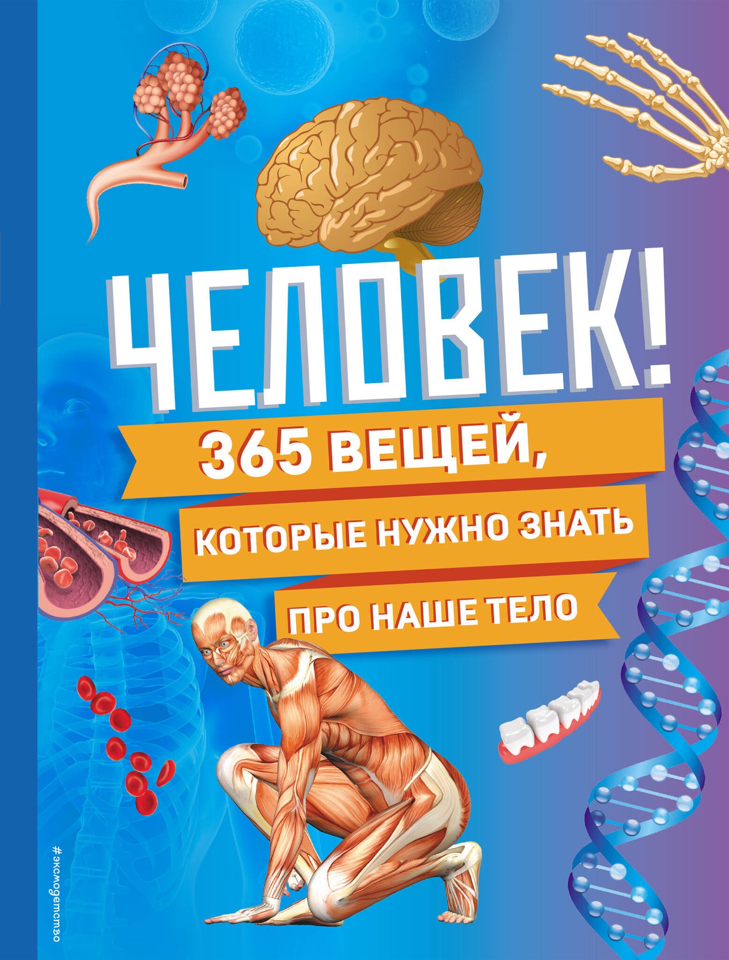 Человек! 365 jours, ce que vous pouvez faire pour votre téléphone