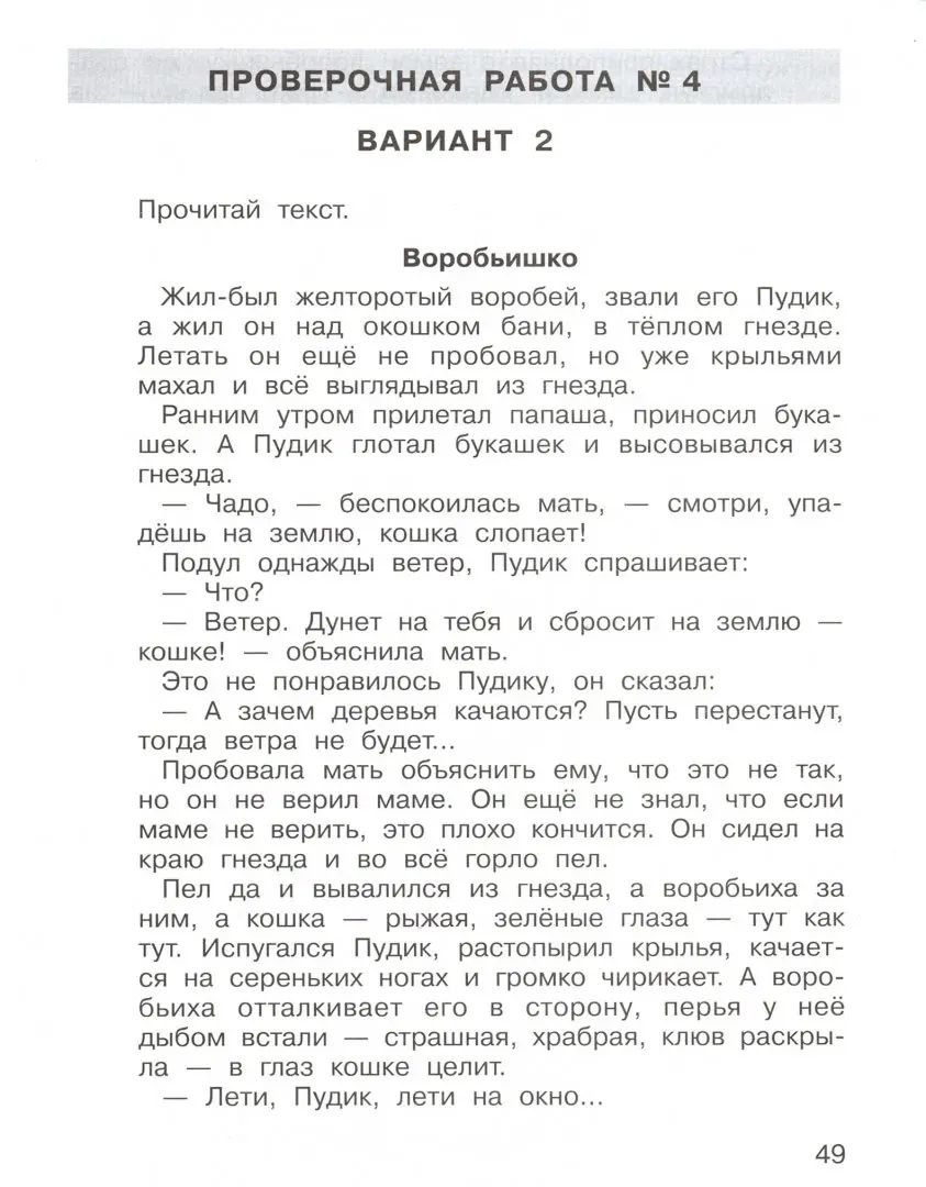 ВПР 2 класс Подготовка к Всероссийской проверочной работе по литературному чтению. 2ème classe/ Мишакина (Бином)