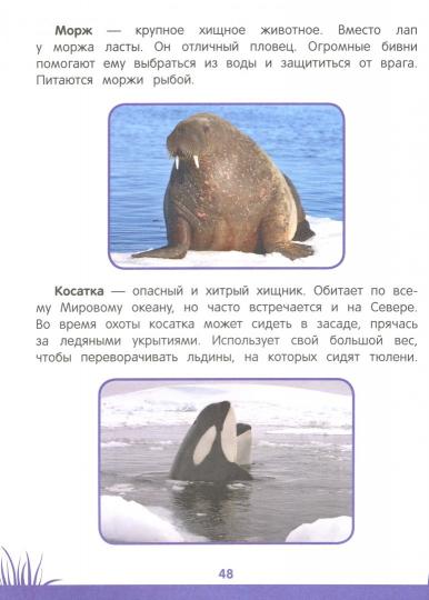 Умный дошкольник: 5-6 лет