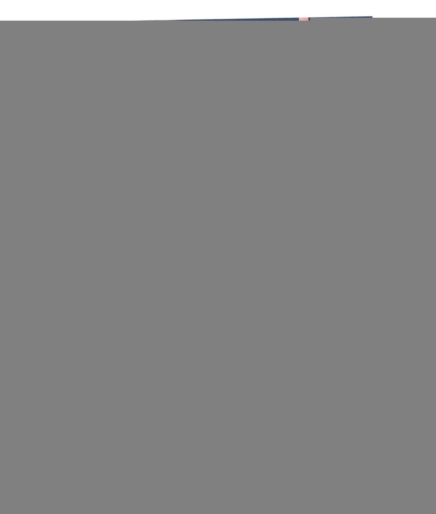 Chaerangbi, Chomi. Горячая дружба. Том 2