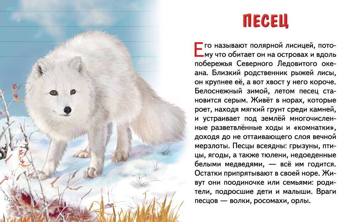 Cartes. Животные Евropы ; Cartes. Europe