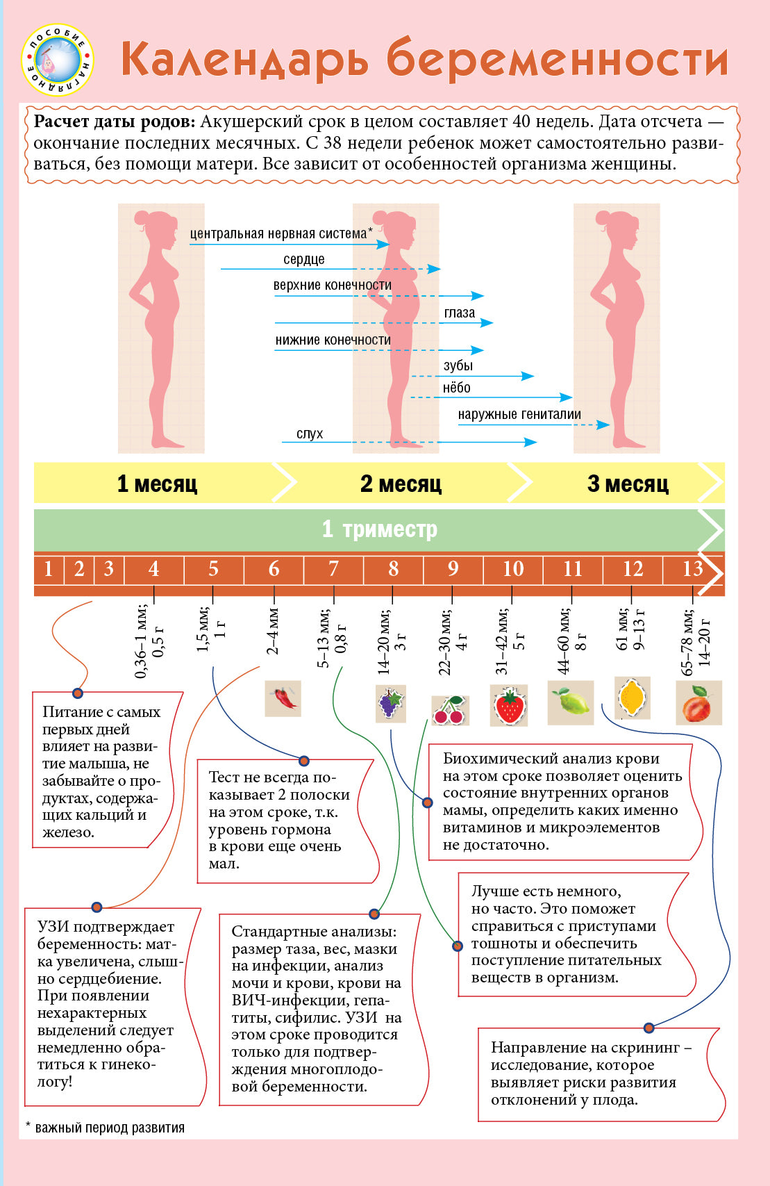 Calendrier des tâches
