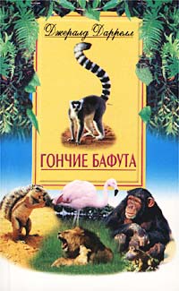 Gonthieri Bafouta
