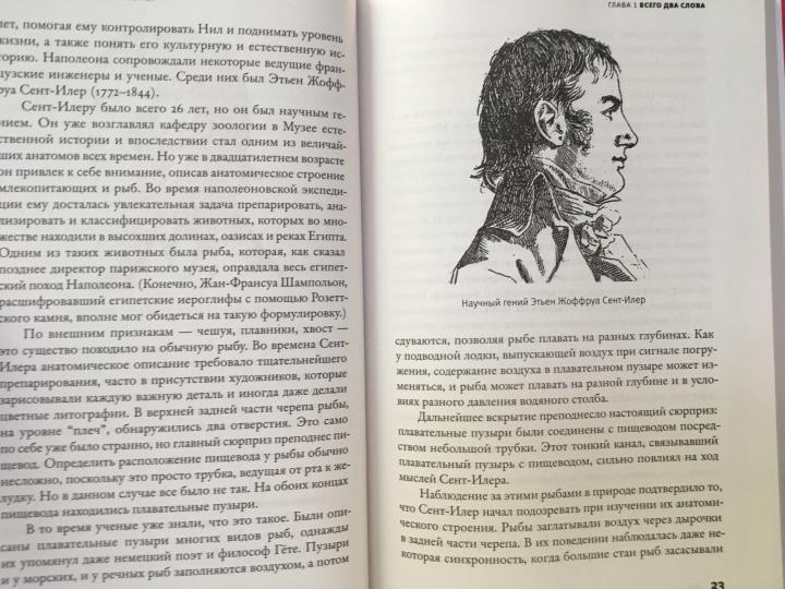 Требуется сборка