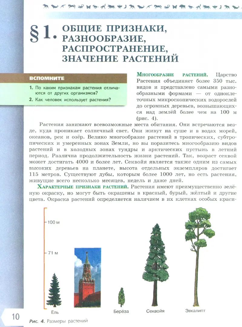 Пасечник Биология 6 cl. (Приложение 1) Учебник (Серия "Линия жизни") (1-е издание)