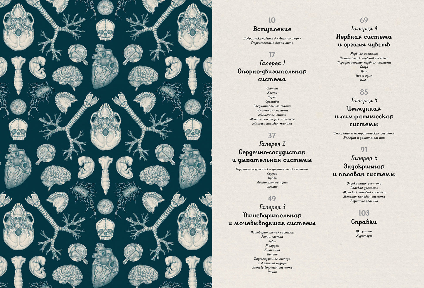 Anatomie