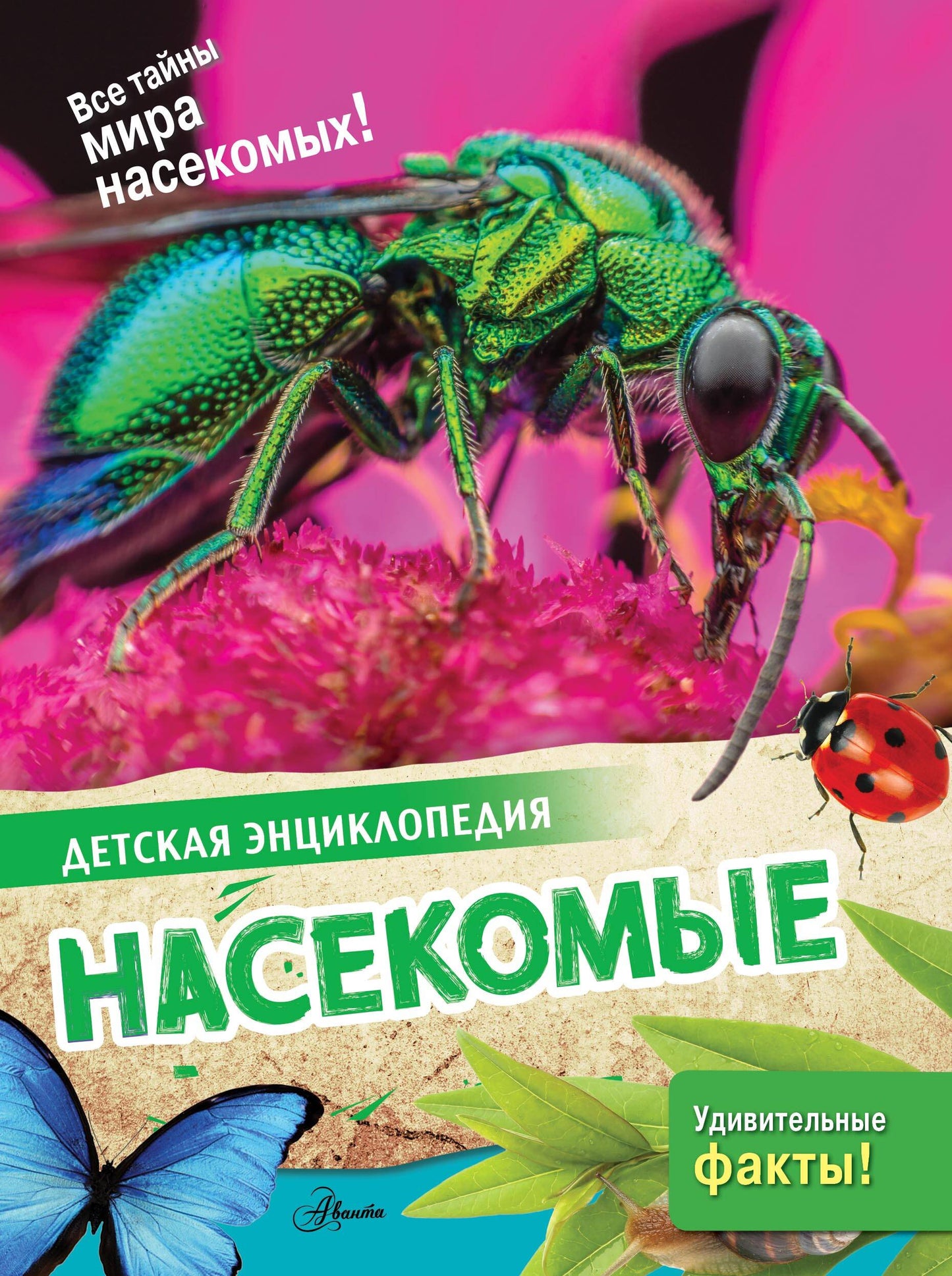 Насекомые