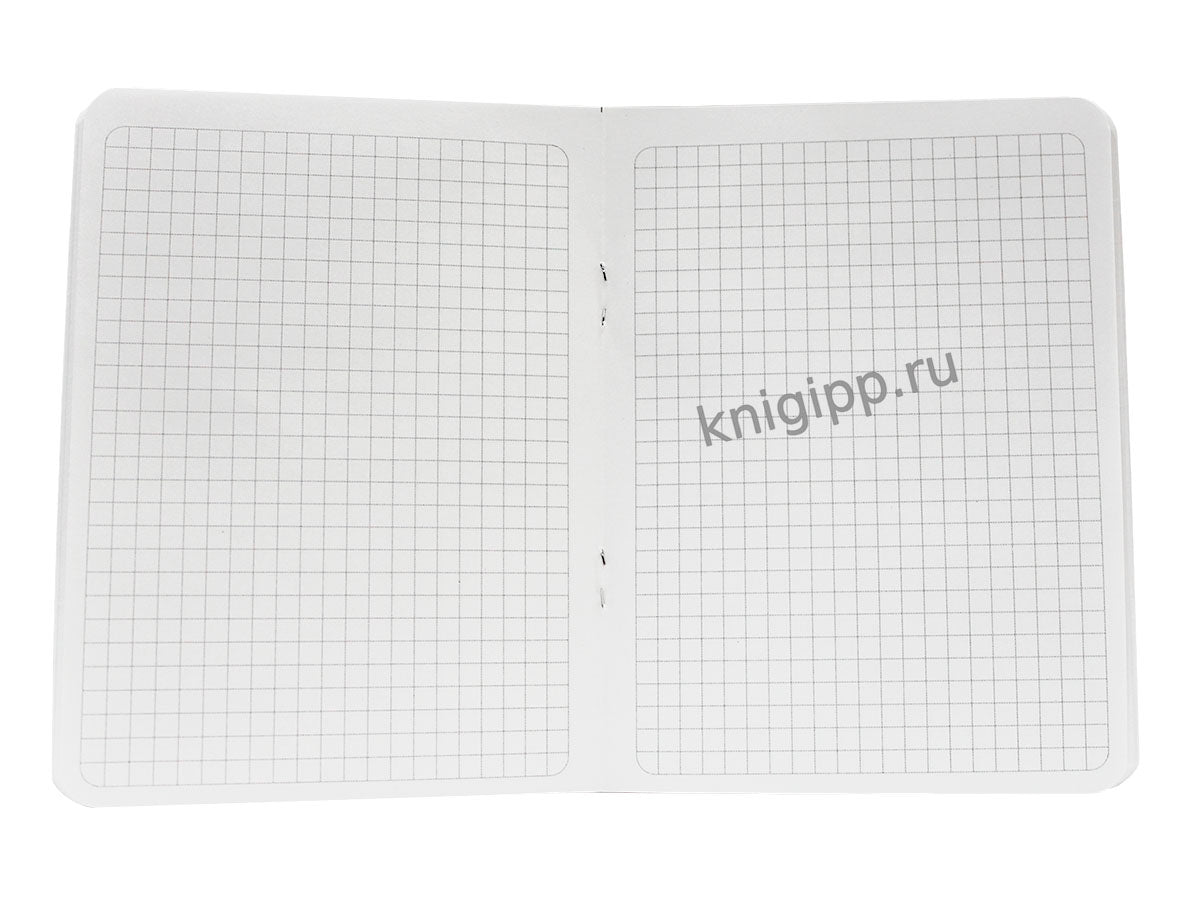 Gatto Rosso. Блокнот в клетку Floral anime. ФИОЛЕТОВЫЙ