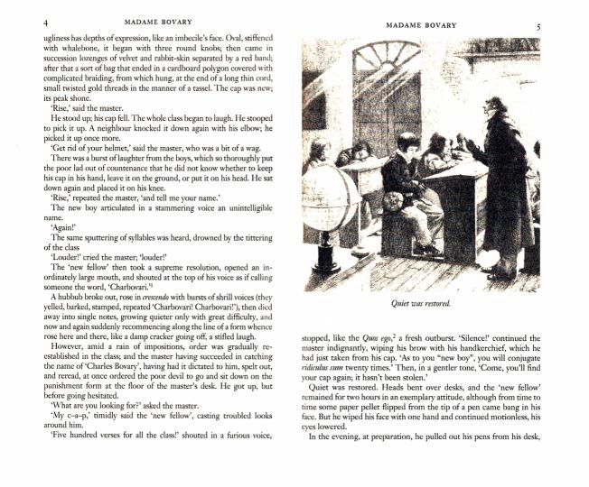 Madame Bovary