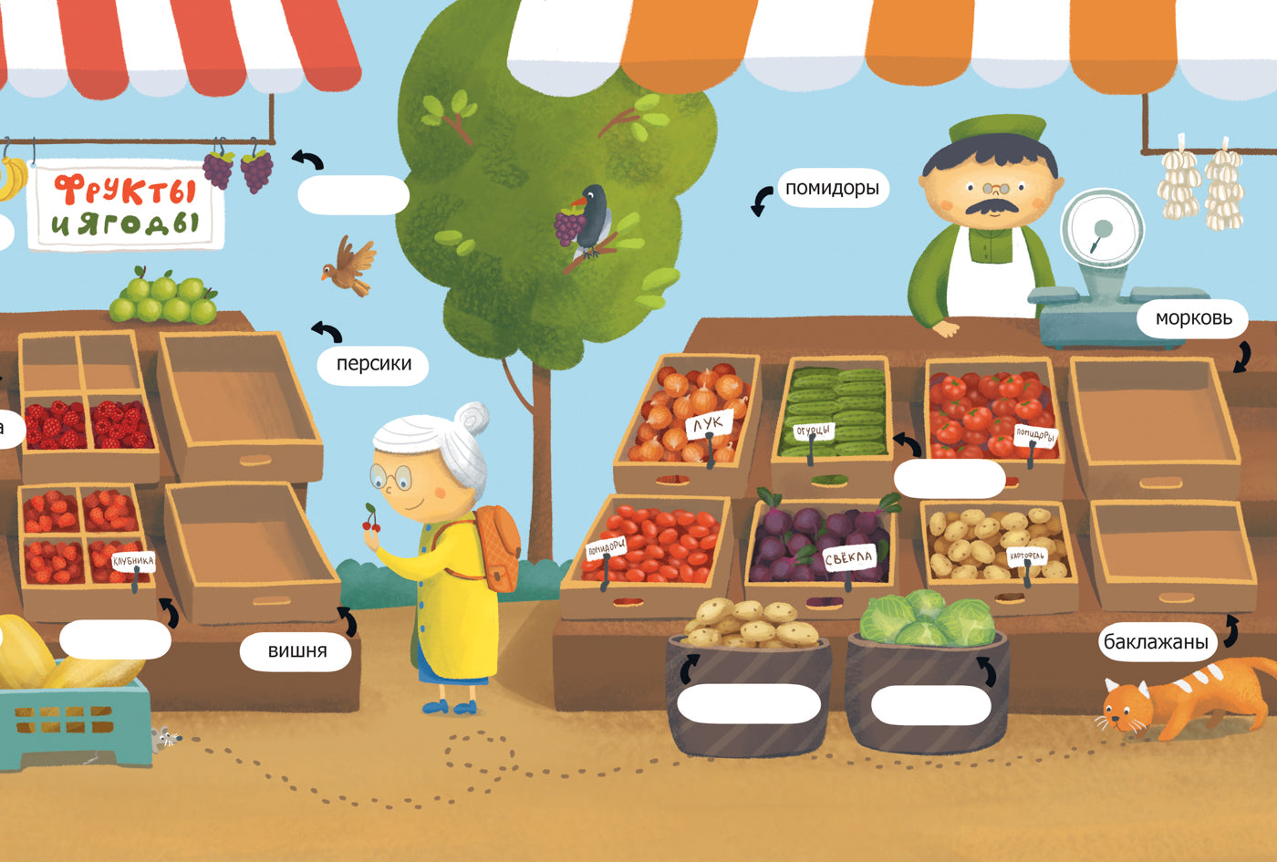 Fruits, fruits, fruits : обучающая книжка с наклейкам