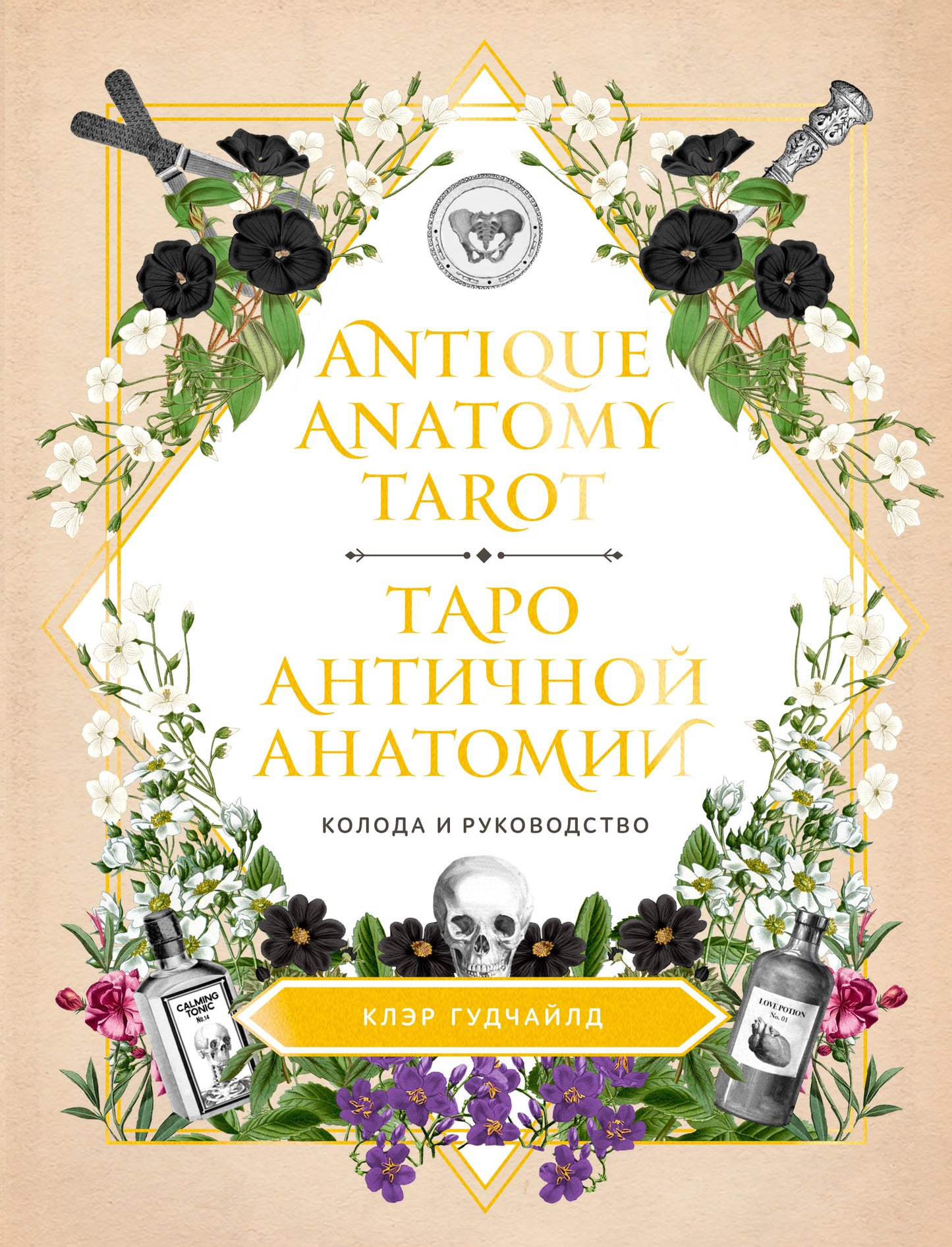 Tarot d'anatomie antique. L'anatomie antique