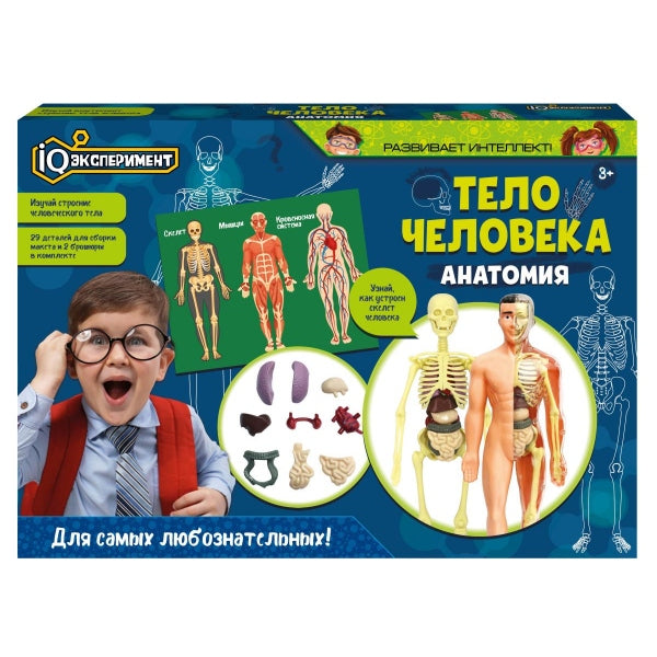 Опыты анатомия тело человека, кор. Exemple de QI dans la cor.2*18шт