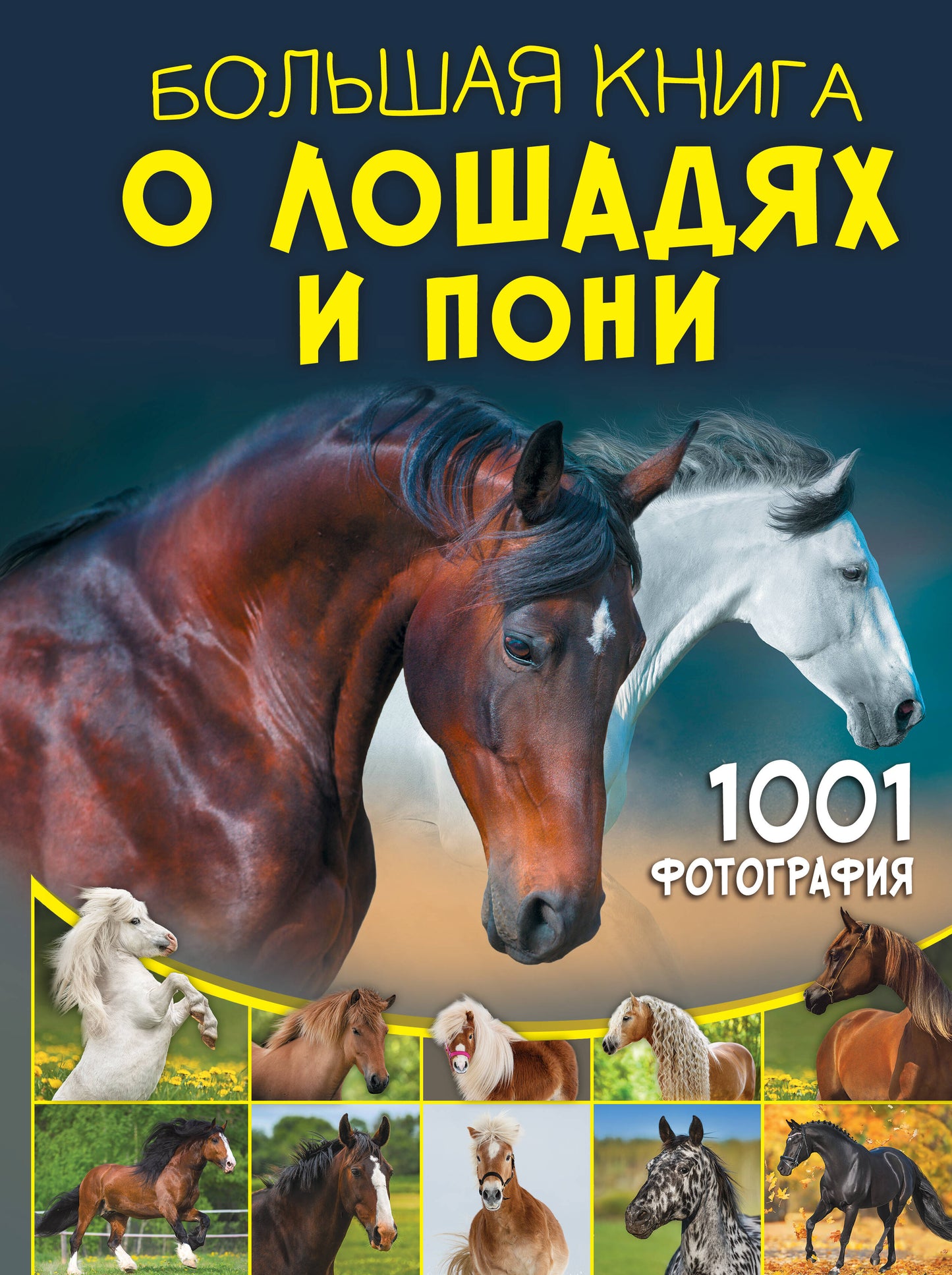 Il y a beaucoup de livres sur les gens et les gens. 1001 photographie