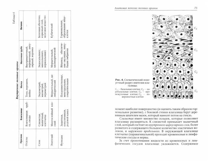 Objet : Prise en charge des médecins généralistes. 5-е изд.,испр.и доп