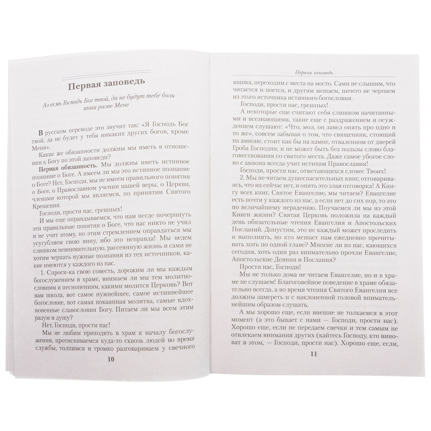 Опыт построения исповеди: Пастырские беседы о покаянии в дни Великого поста