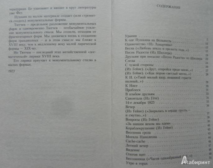 Люблю глаза твои, мой друг...