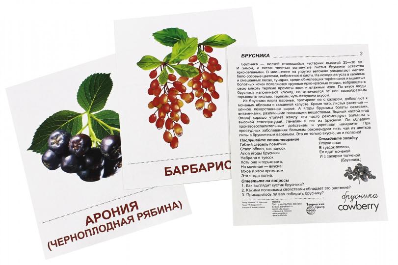 Démonstrateur. Cartes "Ягоды" (173х220мм)