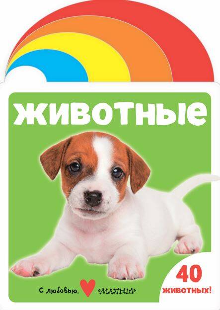 Животные