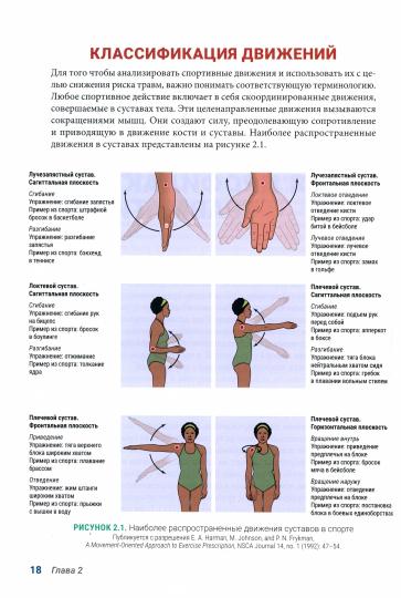 Анатомия профилактики спортивных травм