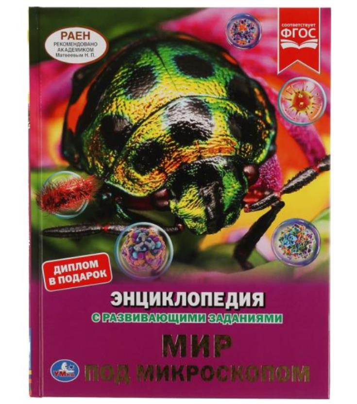 Мир под микроскопом. Энциклопедия а4 с развивающими заданиями. 197х255мм, 48 стр. Умка в кор.15шт