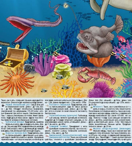 Морские животные. Цифры и факты.