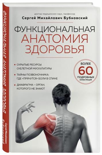 Anatomie fonctionnelle