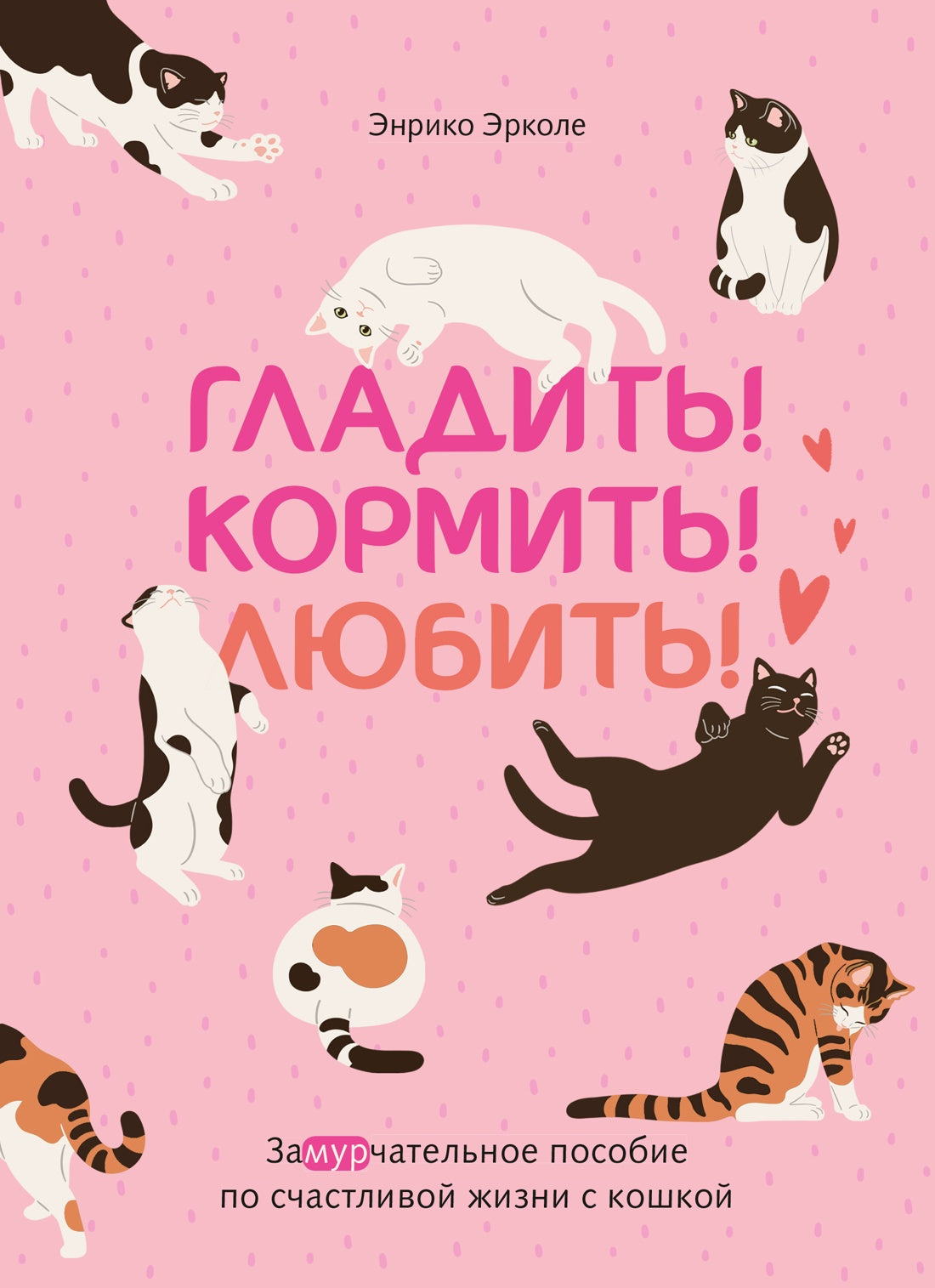 Гладить! Кормить! Любить! Замурчательное пособие по счастливой жизни с кошкой