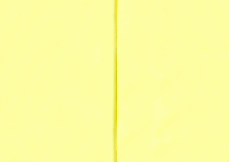 Блокнот "Кактус Кот" с бантиком / "Catctus", one (В6, 128 стр., блок желтый)