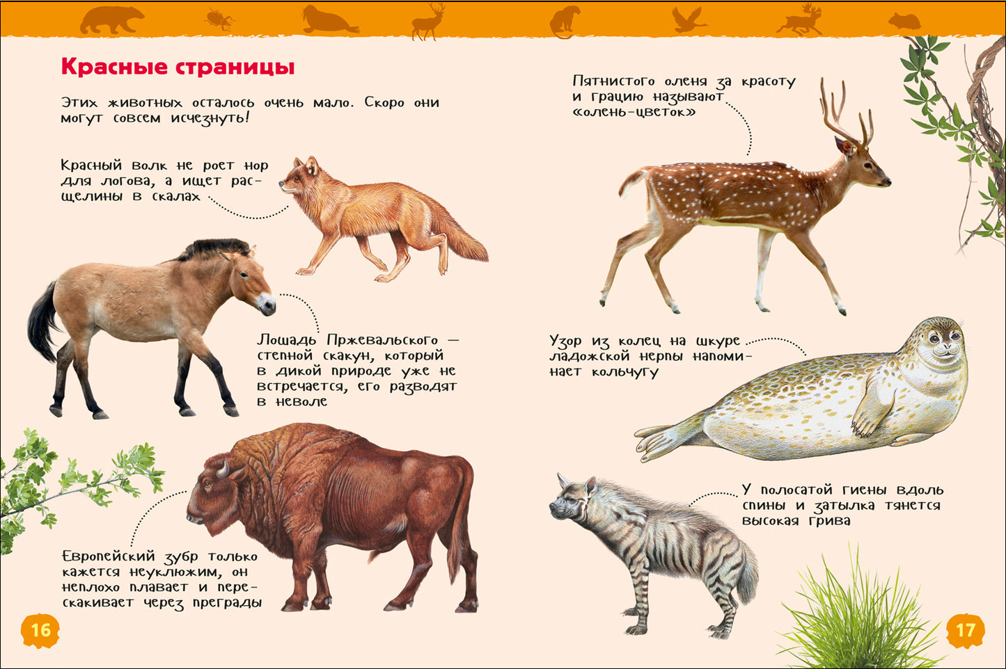 Красная книга России (Энциклопедия для детского сада)