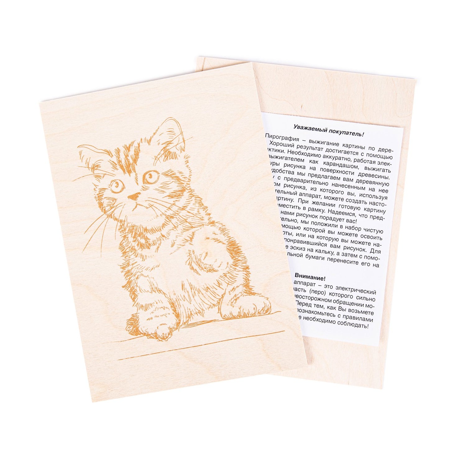 Выжигание по дереву. Доски для выжигания 2 шт "Котик" (blister)