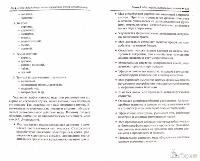 Пчела-труженица,пчела-комилица,пчела-целительница