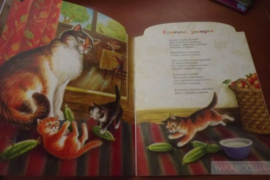 Кошкина загадка