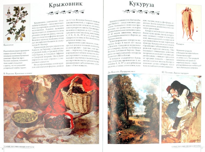 Самые вкусные овощи и фрукты