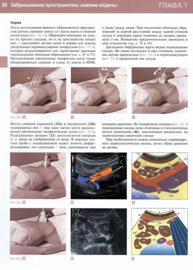 Diagnostic ultra précis. Базовый курс. 3-е изд., перераб. je suis d'accord