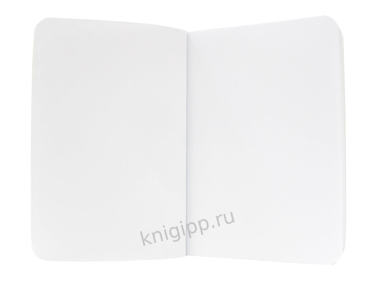 Mon Art. Livre d'art de poche. Volk