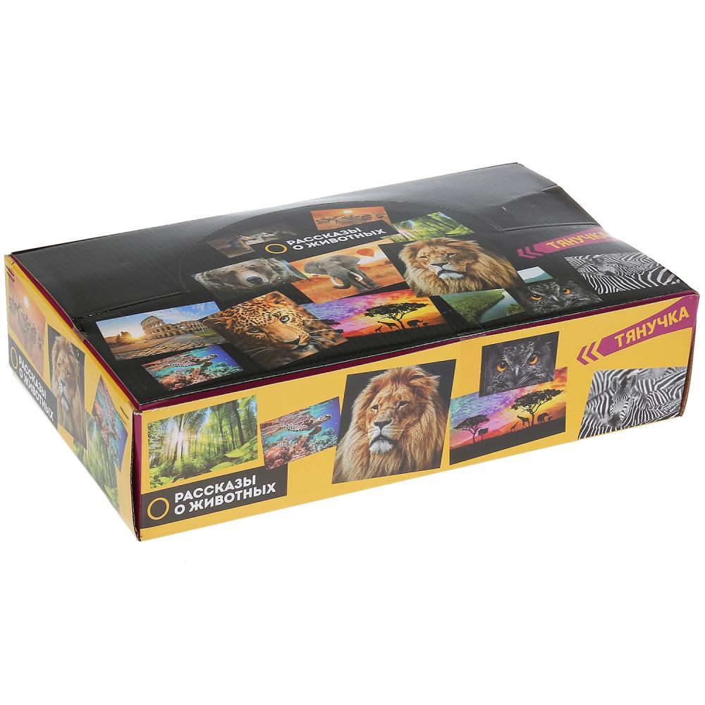 Jeu de dinosaure en plastique, jeu de dinosaure en plastique, 12,7-14 cm, 12 pouces, 72 pouces/