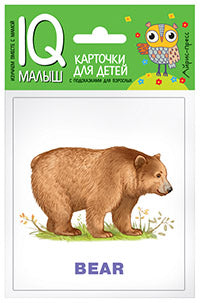 C'est un petit petit. ANGLAIS. Зоопарк Набор карточек для детей.