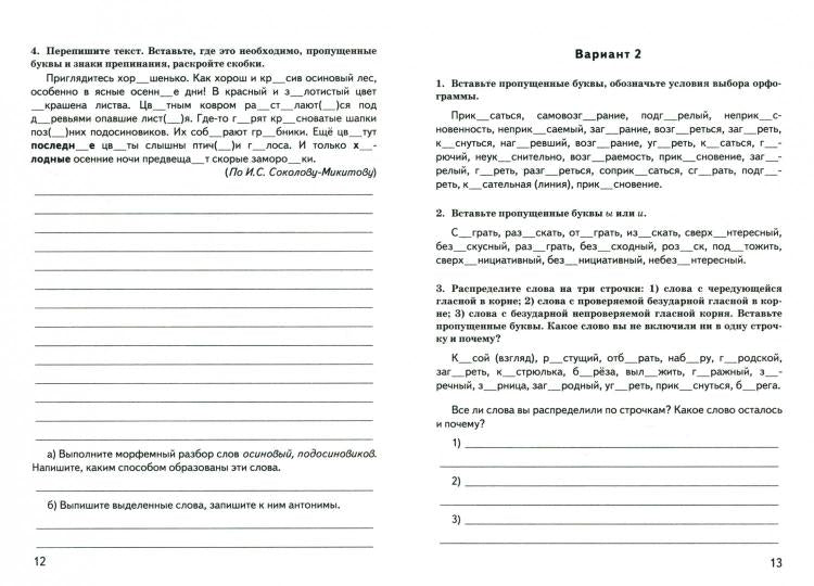 ВПР. Русский язык. 6 класс. Контрольные измерительные материалы