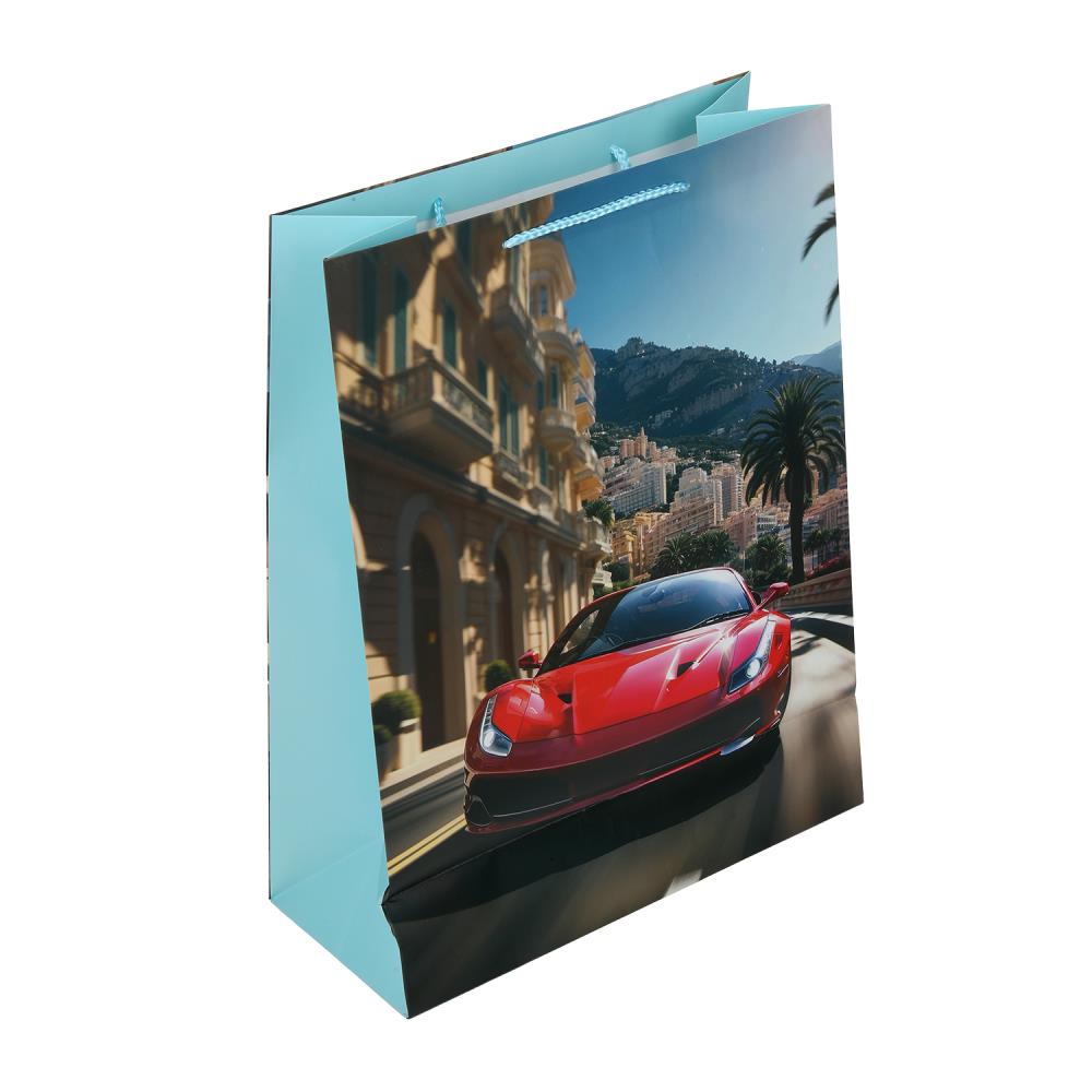 Paquet de sacs à dos xl, carte de sport, 140 gr/m2, paquet de 5*12 pièces