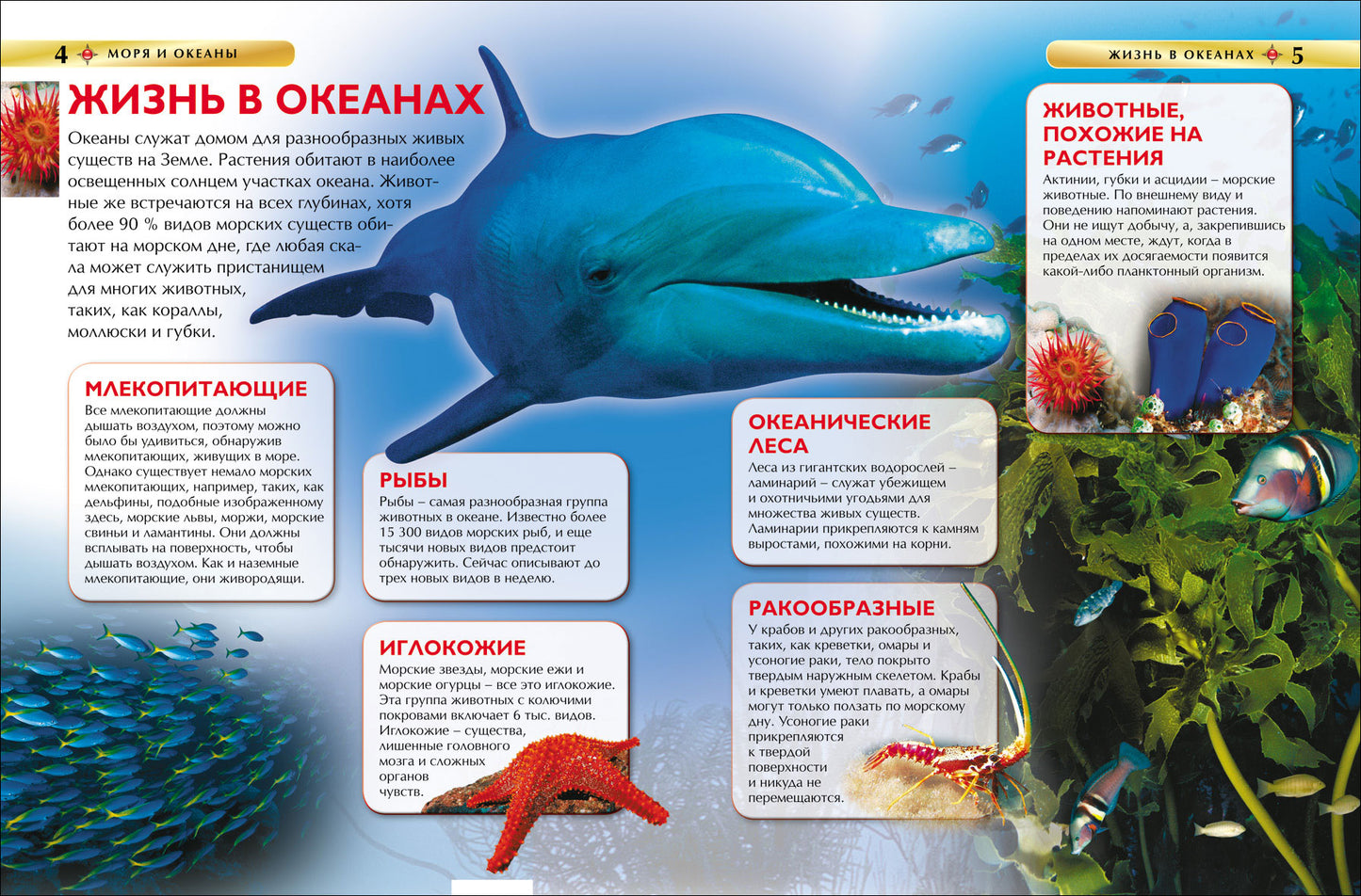 Mer et océans. Детская энциклопедия