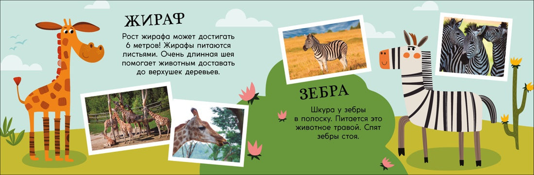 Parc zoologique. Поезд знаний