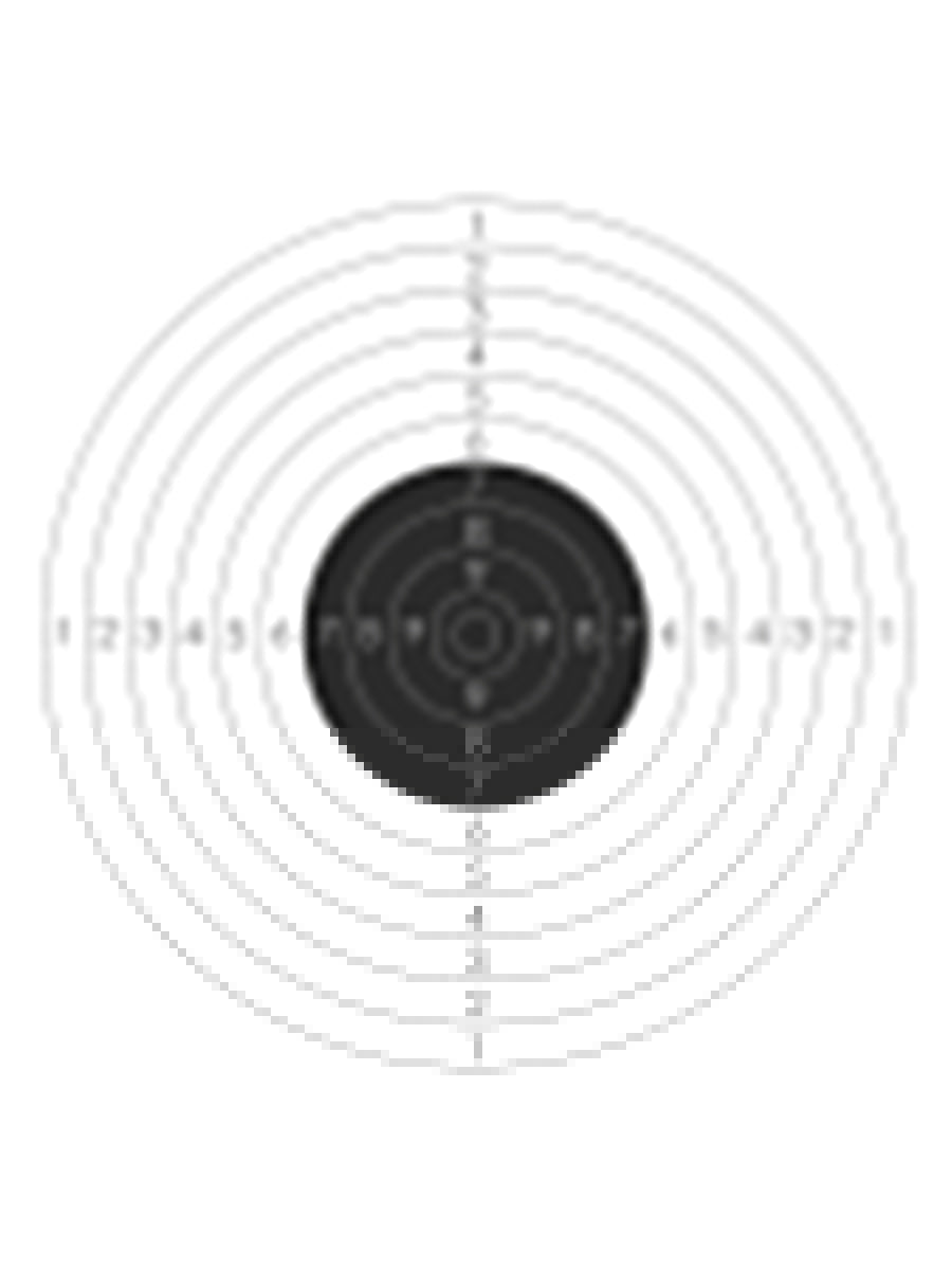 Мишень № 4 спортивная, профессиональная, 55 см. à 55 см., (бумага 50 шт.)