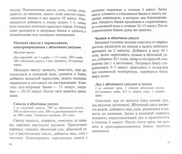 Яблочный уксус. À l'heure actuelle