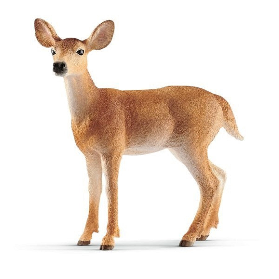 Schleich. Фигурка "Белохвостый олень-самка" арт.14819