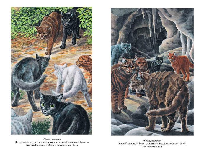 Hanter. Коты-воители. Collection Zolota. Отверженные. Затмение.