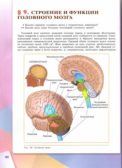 Сивоглазов. Биология. 8 класс. Учебник.