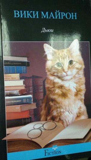 Oui. Dans les bibliothèques, tout le monde est là pour vous