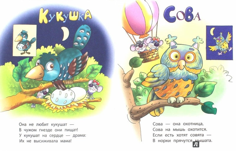 Дошкольное обучение. ПЕРВЫЕ УРОКИ